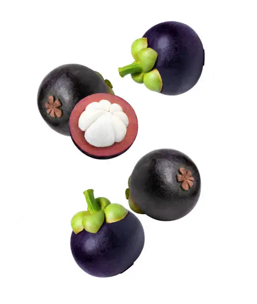Mangosteen flying in the air isolated on white background.