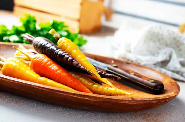 Carrots of different varieties with green tops. A bunch of carrots of different colors on a gray background.