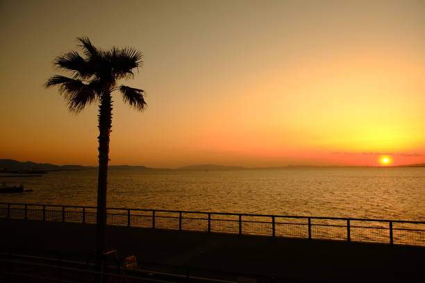 istock Sunset beach scenery at shopping mall 1419571532