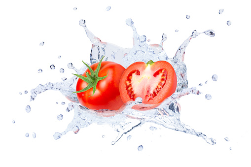 Fresh tomato in water splash isolated on white background.