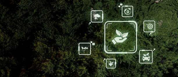 istock Hand holding plant on green forest with eco icons 3D render 1419574458