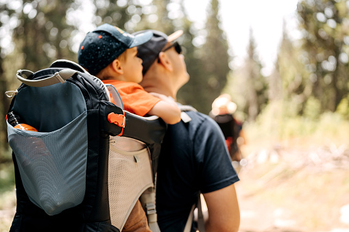 Father carrying his son in a baby carrier on a hiking