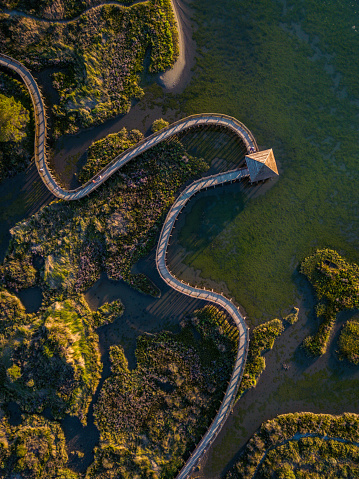Top view of sea with wooden walkway - Aerial top view of wooden bridge pathway over marshy river with vegetation thickets, wild travel concept