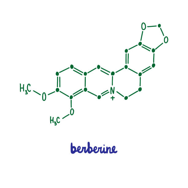 Bernerin Hơn 90 Berberine ảnh, hình chụp & hình ảnh trả phí bản quyền một lần ...