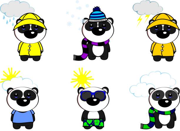 팬더 베어 날씨 카와이 만화 세트 - teddy panda bear stock illustrations