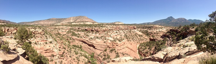 Panoramic views of the desert wilderness