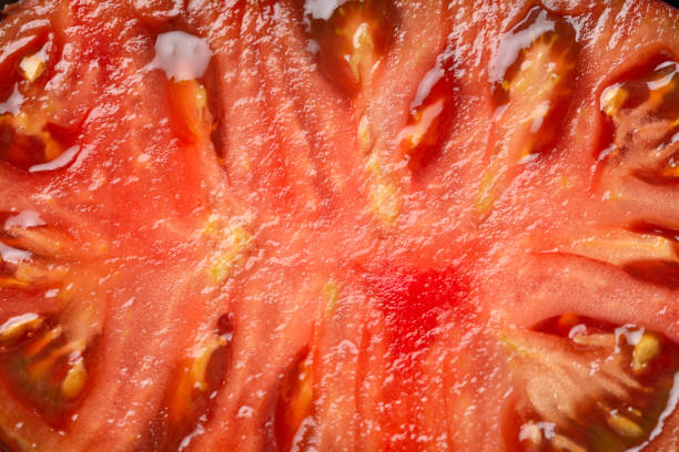 A vibrant red tomato covered in fresh water droplets, captured on a white background. This juicy vegetable illustrates freshness and healthy eating concepts, adding visual appeal. Perfect for culinary, gardening, or nutritional themes.