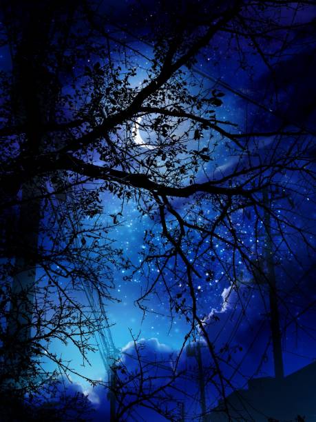 istock Night sky with sea of clouds drifting and mysterious moon shining through the silhouette of an old tree branch. Mysterious illustration 1419590269