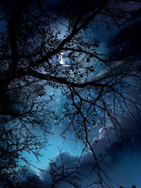 istock Night sky with sea of clouds drifting and mysterious moon shining through the silhouette of an old tree branch. Mysterious illustration 1419590274