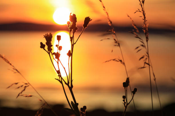 istock Trondheim fjord 1419590304