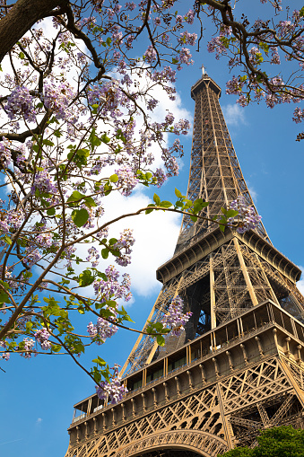 A view of the Eiffel Tower from the Arc de Triomphe in Paris, France.