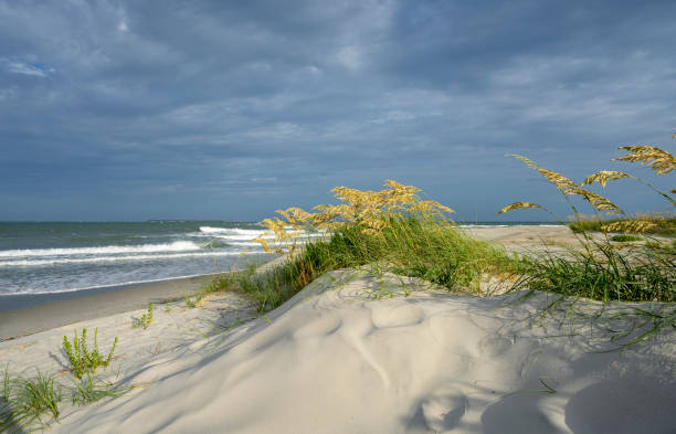 istock Beautiful Sea Oats grass by the ocean. 1419595849
