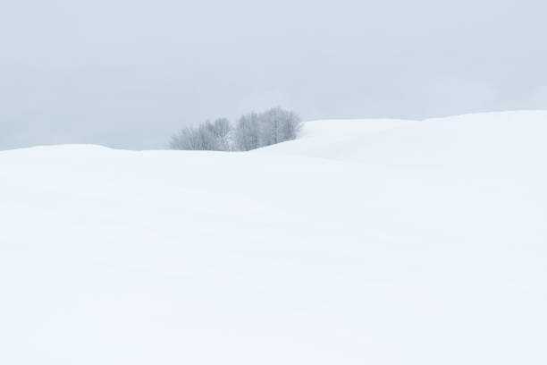 Minimalistic winter view of snowy hills Landscape with an minimalistic winter view of the snow covered hills snowfield stock pictures, royalty-free photos & images