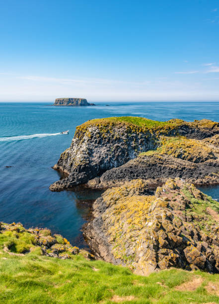istock Carrick-a-Rede coastline and rocky islands 1419606772