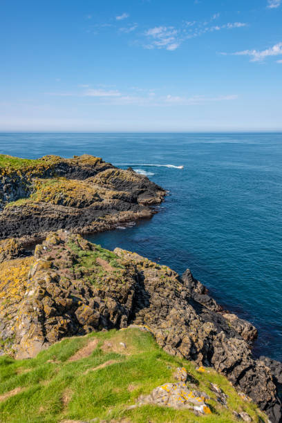 istock Carrick-a-Rede coastline and rocky islands 1419606826