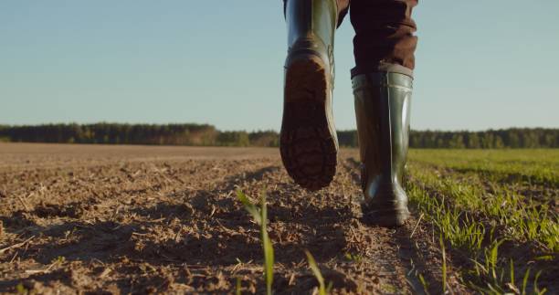 低角度:農家の畑でゴム長靴を履いて歩く男、地平線の上の青い空。農地を歩く男。農家は早春に耕された畑を歩きます。 - produce section ストックフォトと画像