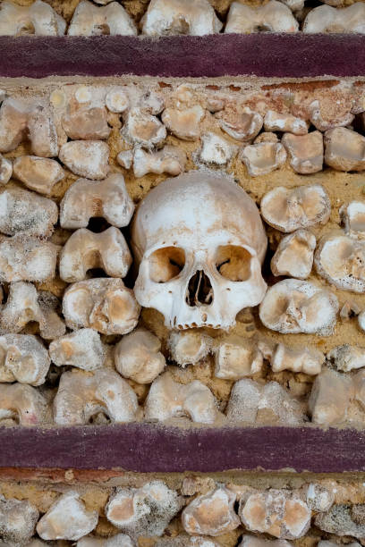 istock Close-up human skull on a wall 1419609887