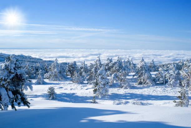 istock winter day in the mountains 1419612143