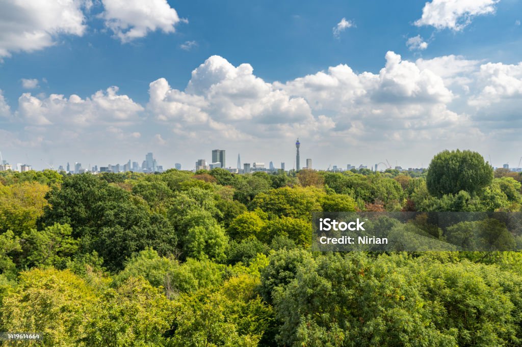 Regent's Park, London Top view of the trees in Regent's Park, with the buildings of central London far off the horizon. Beauty In Nature Stock Photo