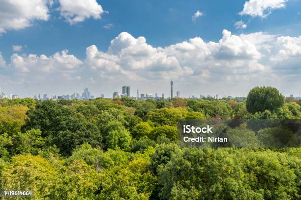 Regents Park London Stock Photo - Download Image Now - Beauty In Nature, Blue, Branch - Plant Part
