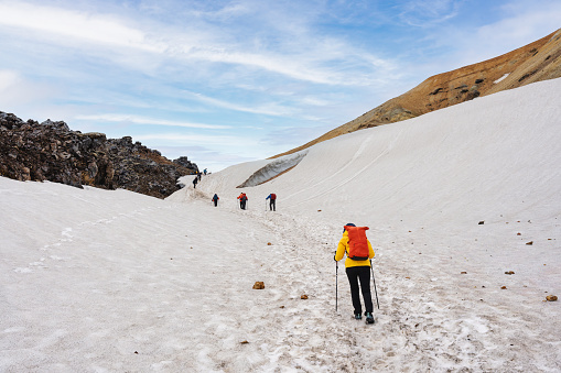 Hiker woman in yellow jacket trekking with travel expedition on snowy mountain in highlands of iceland at Landmannalaugar trail