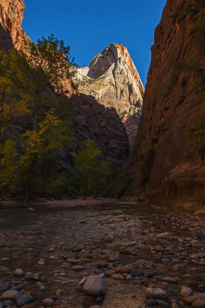 istock Virgin River Zion National Park 2599 1419617828