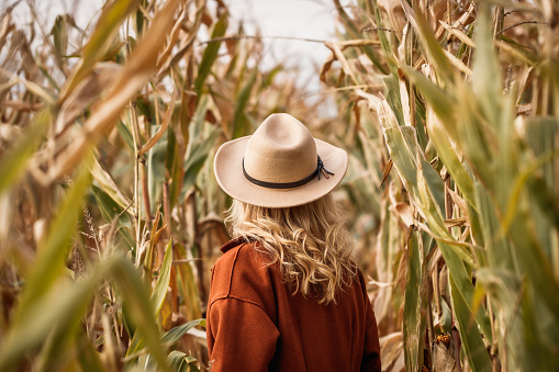 Stylish woman with red coat and cowboy hat is standing in corn field. Autumn season in farm