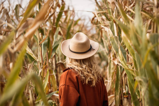 Woman with red coat and cowboy hat is standing in corn field Stylish woman with red coat and cowboy hat is standing in corn field. Autumn season in farm corn-maze stock pictures, royalty-free photos & images