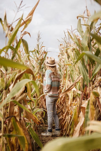 istock Woman farmer with hat standing in corn field 1419618079