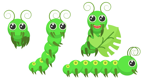 Free download of cute cartoon caterpillar vector graphics and  illustrations, page 32