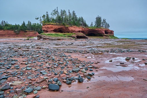 The surface of the Bay of Fundy as seen at low tide at Burntcoat Head Park in Nova Scotia Canada.