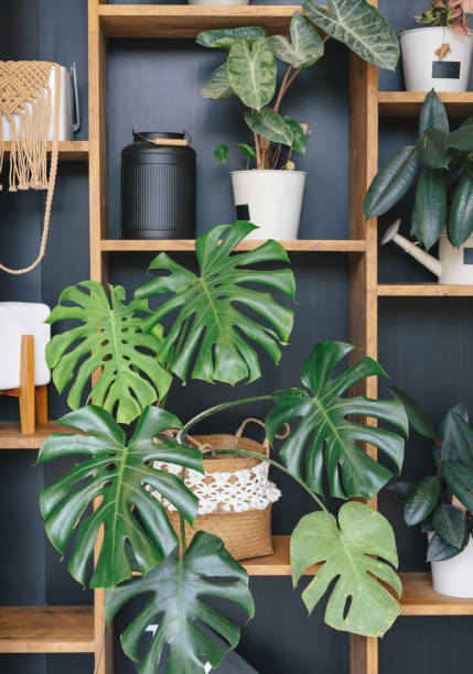 istock Wall of interior Decorative Artificial Plastic Green Plants in apartment house 1419621265