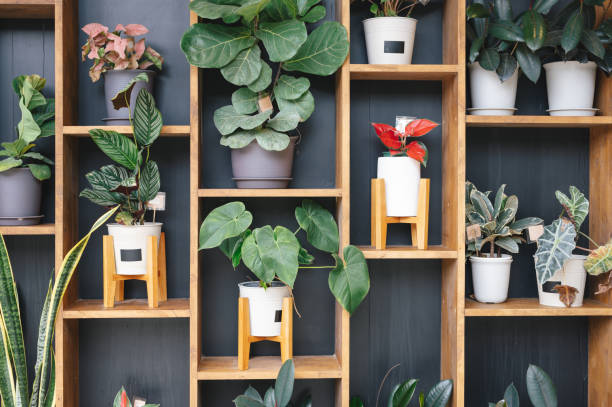innenwand dekorativer künstlicher kunststoff grünpflanzen im mehrfamilienhaus - zimmerpflanze stock-fotos und bilder