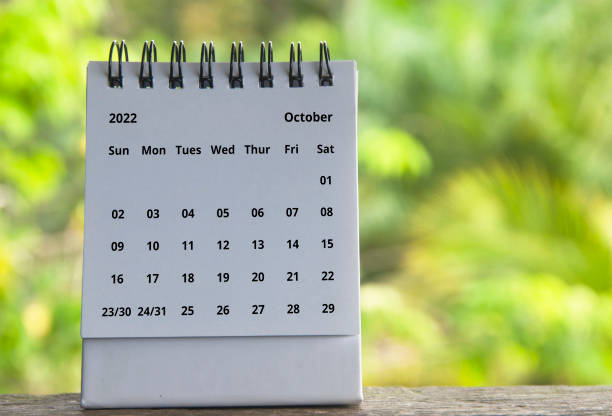 istock October 2022 calendar with customizable space for text or ideas. Copy space 1419626611