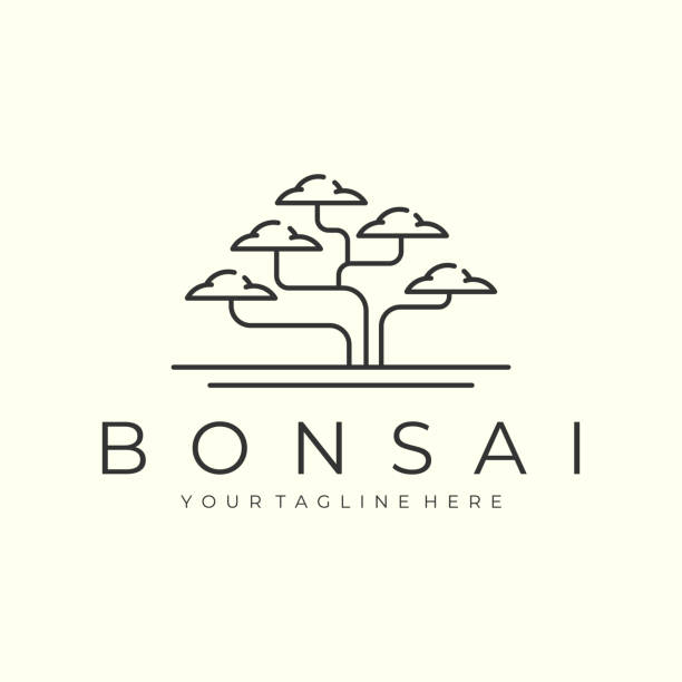 bonsai tree with minimalist line art style symbol vector design icon template illustration bonsai tree with minimalist line art style symbol vector design icon template illustration chinese banyan bonsai stock illustrations