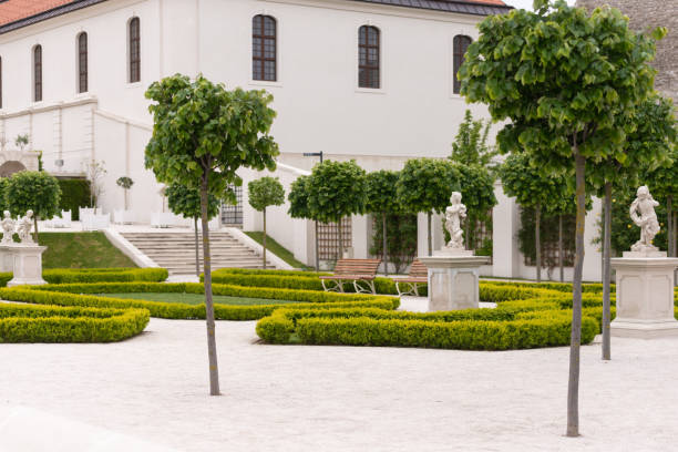 Bratislava Castle Park Bratislava. Slovakia. Summer 2019.Bratislava Castle Park. White stone covered park. Green bushes, young trees and statues in the garden. bratislava castle bratislava castle fort stock pictures, royalty-free photos & images