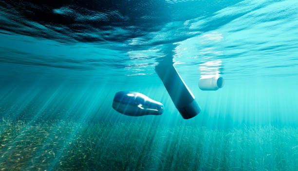 istock Sea pollution and dirty beach and water 1419631908