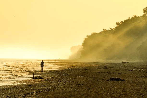 istock The landscape on the Baltic Sea. 1419636832