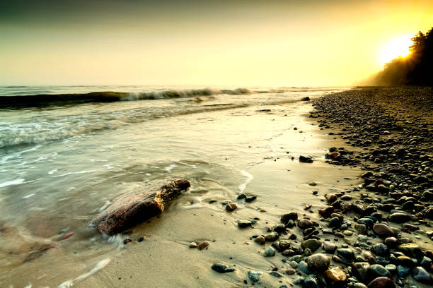 Stones on the beach. Black and white photography.