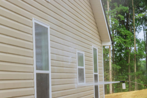 istock An excellent cleaning and maintenance service can be provided by using high-pressure nozzles to spray soap cleaners on the house 1419641879