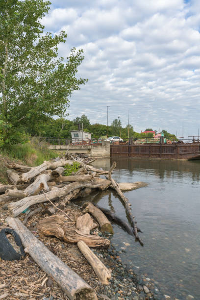 istock snags dump at teh river Ob shore with part of rusty barge platform 1419642882