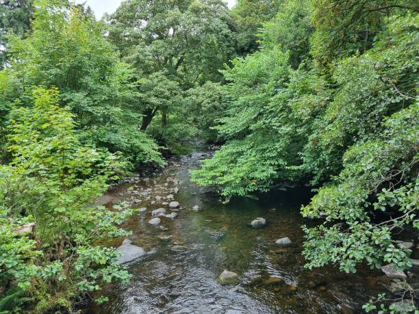 istock The river at MacRosty park 1419643093
