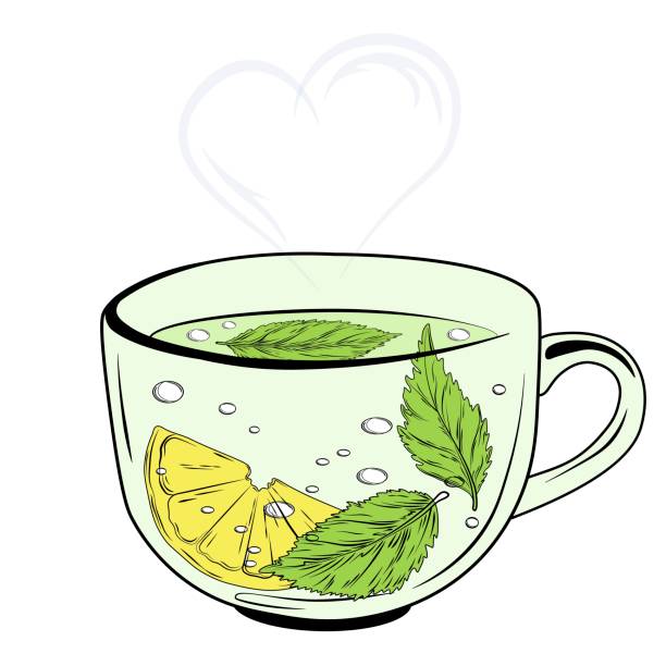 кружка травяного чая. - green tea tea scented mint stock illustrations