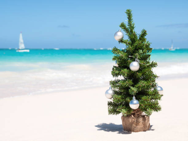istock Christmas fir tree on sandy beach. Tropical New year celebration 1419643750