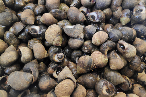 A bunch of periwinkles for sale at a market stall.