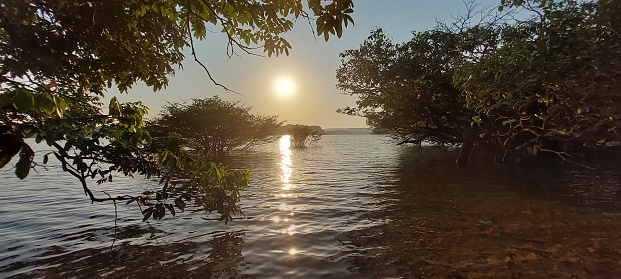 Alter do Chão-Tapajós-Amazônia-Pará-Brazil