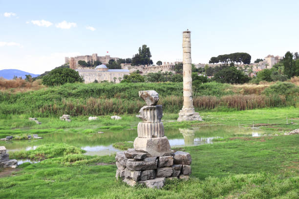Column and ruins of Temple of Artemis Ephesus, Selcuk, Turkey Column and ruins of Temple of Artemis Ephesus, one of the seven wonder of ancient world, Selcuk, Turkey Artemis stock pictures, royalty-free photos & images