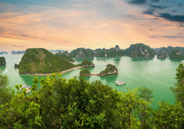 istock Ha Long Bay at sunrise 1419659299