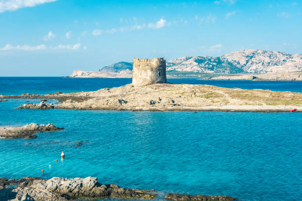 istock The beautiful La Pelosa Beach in Sardinia 1419660572