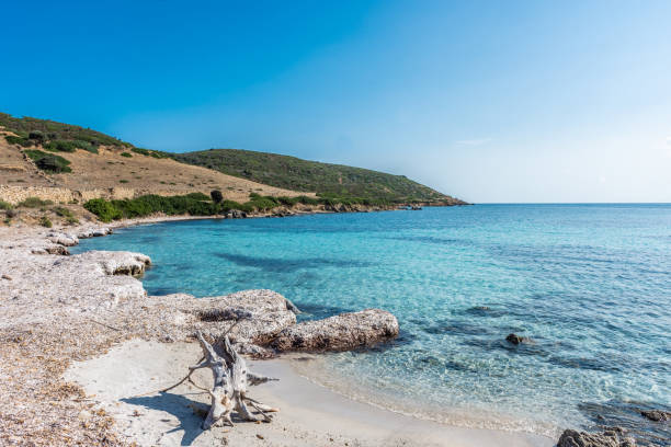 istock Amazing beach in Asinara Island 1419664486